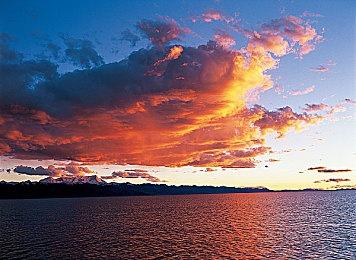 《荒野大镖客2》玩家自制混乱MOD 随机加入玩法效果