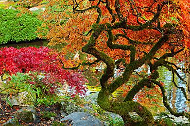 《罪恶装备：STRIVE》新DLC角色和3V3模式公开