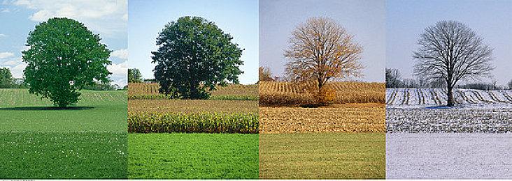 《文明7》1.2.2大型更新上线 支持Steam创意工坊